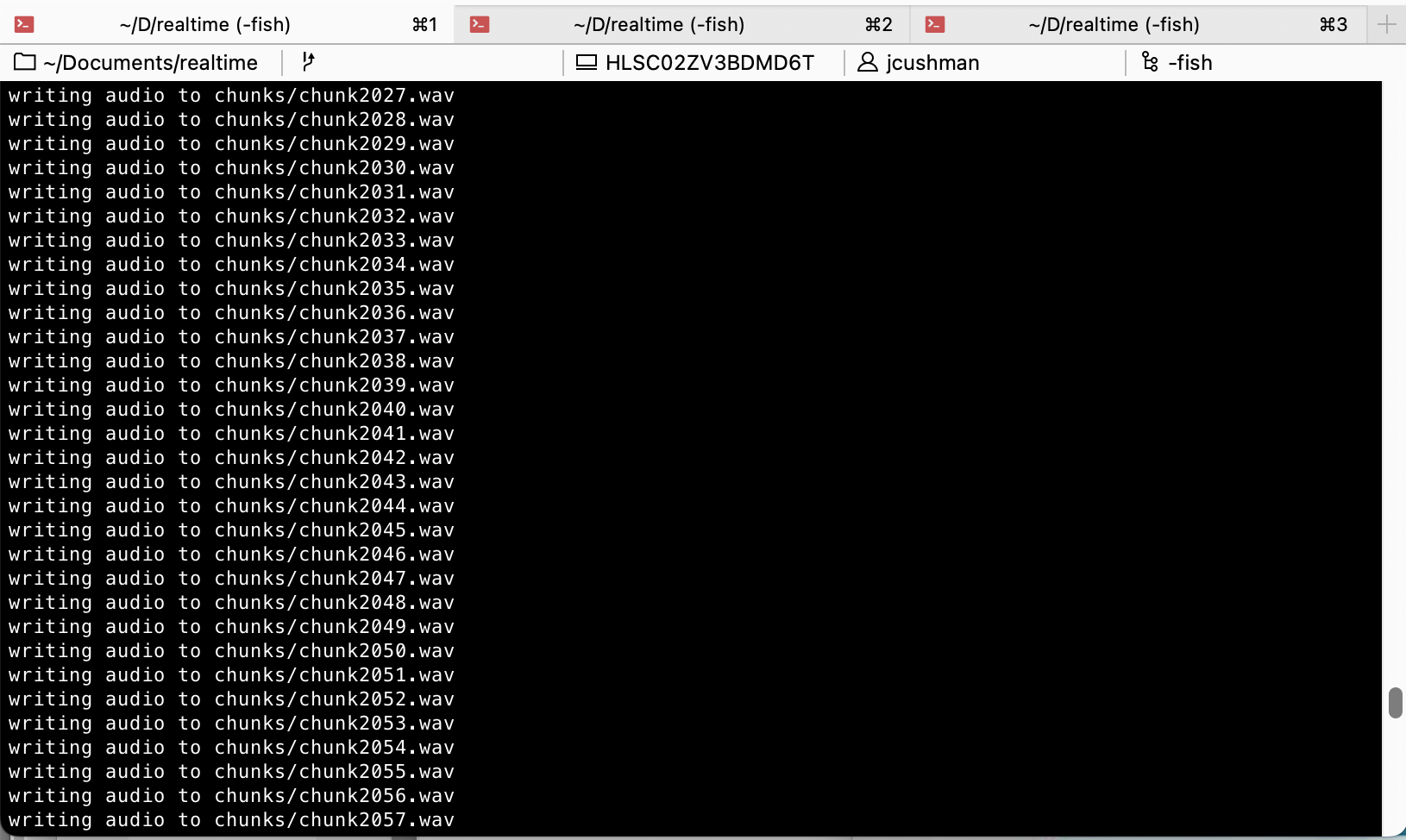 A screenshot of a terminal with output from writing audio to files